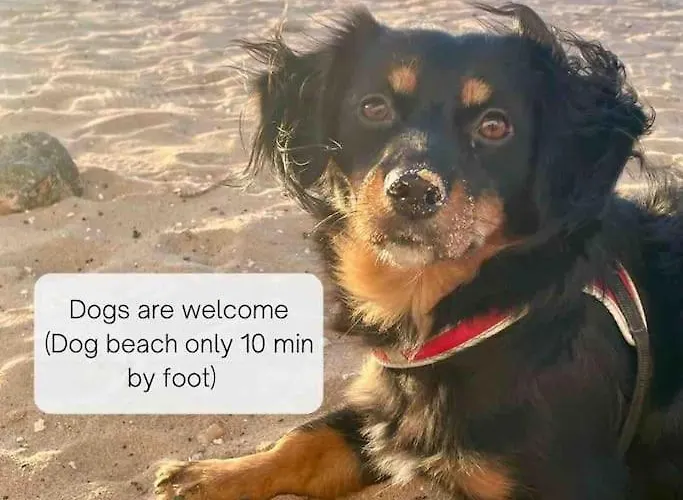 شقة La Cabanana - W Pool And High-speed Wifi